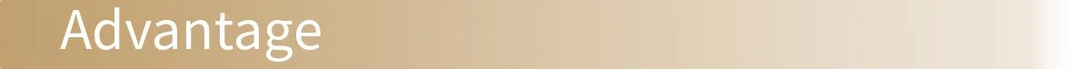 SeparatorTitle_Advantage